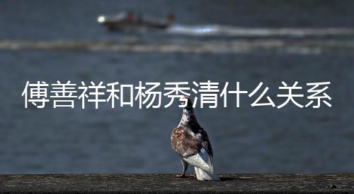 傅善祥和楊秀清什么關(guān)系（傅善祥和楊秀清有孩子嗎）