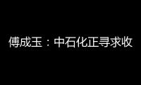 傅成玉：中石化正尋求收購北美油氣資產