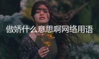 傲嬌什么意思啊網(wǎng)絡(luò)用語(yǔ)（傲嬌什么意思啊）
