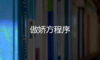 傲嬌方程序