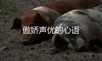 傲嬌聲優的心語