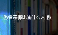 傲雪寒梅比喻什么人 傲雪寒梅比喻什么樣人