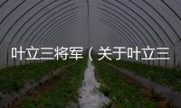 葉立三將軍（關于葉立三將軍的基本情況說明介紹）