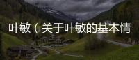 葉敏（關(guān)于葉敏的基本情況說明介紹）