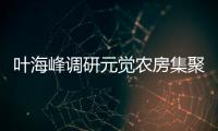 葉海峰調研元覺農房集聚工作