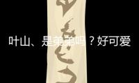 葉山、是弟弟嗎？好可愛呀。