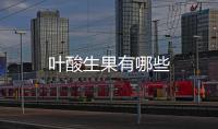 葉酸生果有哪些