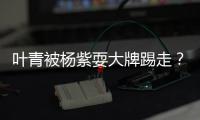 葉青被楊紫耍大牌踢走？此前曾被姚笛嘲諷“不知道這人是誰”