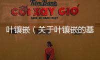 葉鑲嵌（關于葉鑲嵌的基本情況說明介紹）