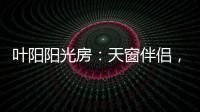葉陽陽光房：天窗伴侶，靜音降溫，防蟲去熱，享受清涼!