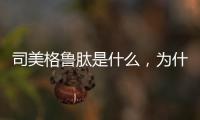 司美格魯肽是什么，為什么這么受追捧？！