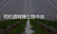 司機酒駕睡在路中央  交警及時趕到