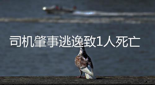司機(jī)肇事逃逸致1人死亡 6小時(shí)后到案自首