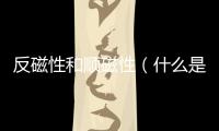 反磁性和順磁性（什么是順磁性 什么是反磁性）