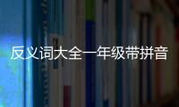 反義詞大全一年級帶拼音（反義詞大全一年級）
