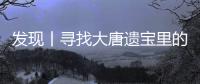 發現丨尋找大唐遺寶里的中亞元素