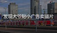 發現大爺貼小廣告賣貓片差點報警 實則隱藏騙局和風險