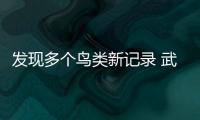 發現多個鳥類新記錄 武漢10月重點區域鳥類監測環比新增39個品種