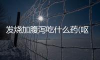 發(fā)燒加腹瀉吃什么藥(嘔吐腹瀉發(fā)燒吃什么藥)