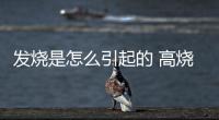 發燒是怎么引起的 高燒的兩種誤區