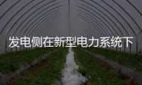 發電側在新型電力系統下的機會和布局