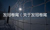 發冠卷尾（關于發冠卷尾的基本情況說明介紹）