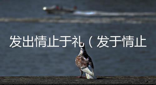 發出情止于禮（發于情止于禮什么意思）