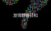 發情野獸日和