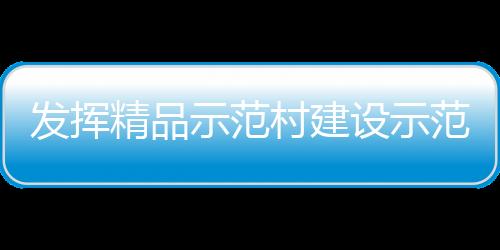 發揮精品示范村建設示范先行作用 加快建設宜居宜業和美鄉村