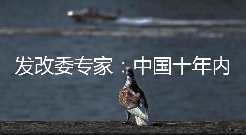 發改委專家：中國十年內無能源安全問題