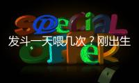 發斗一天喂幾次？剛出生的法斗一次喂多少奶粉