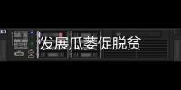 發展瓜蔞促脫貧