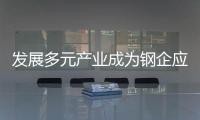 發(fā)展多元產(chǎn)業(yè)成為鋼企應(yīng)對(duì)危機(jī)新路徑