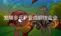 發展多元產業成鋼鐵企業未來增效的重點方向