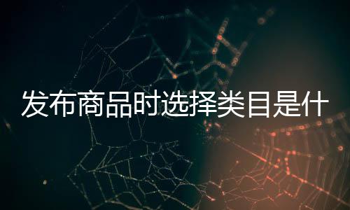 發(fā)布商品時(shí)選擇類目是什么（找出商品屬性與發(fā)布商品所放置的類目）