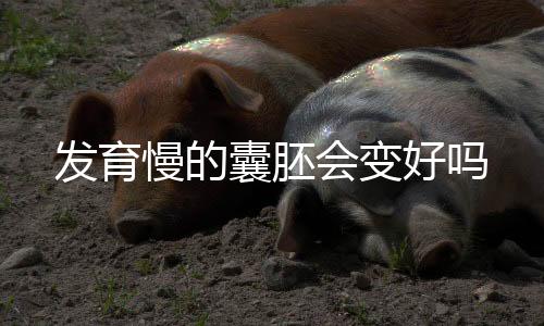 發育慢的囊胚會變好嗎