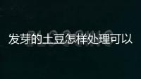 發(fā)芽的土豆怎樣處理可以吃（發(fā)芽的土豆怎么處理可以吃）