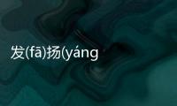 發(fā)揚(yáng)光(guāng)大(dà)究竟什么情況?