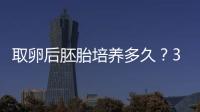 取卵后胚胎培養多久？3分鐘了解受精卵每天的發育進度