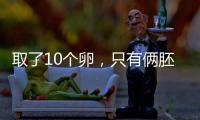 取了10個卵，只有倆胚胎？卵都去哪了？