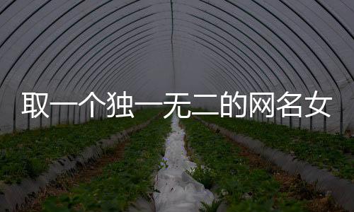 取一個獨一無二的網名女生(女人有涵養的網名)
