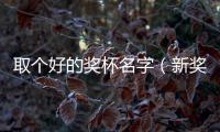 取個好的獎杯名字（新獎杯起一個好名字）