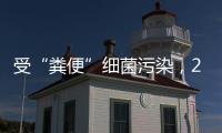受“糞便”細菌污染，200萬瓶“巴黎水”被銷毀