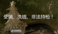 受賄、洗錢、非法持槍！陳罡當庭認罪認罰