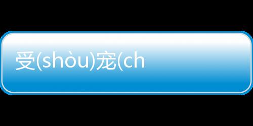受(shòu)寵(chǒng)若(ruò)驚(jīng)到底是什么情況?