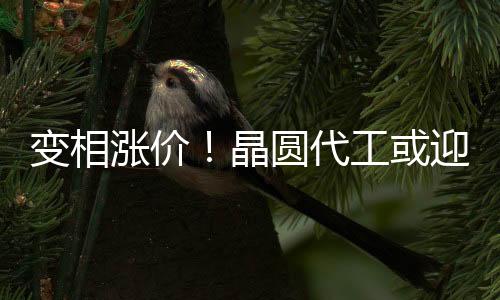 變相漲價！晶圓代工或迎“漲價潮”，前臺積電COO再入中芯國際