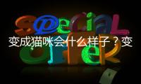 變成貓咪會什么樣子？變成貓該怎么辦