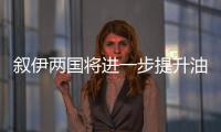 敘伊兩國將進一步提升油氣領域雙邊合作