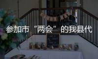 參加市“兩會”的我縣代表向大會報到