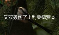 又雙叒傷了！利桑德羅本賽季第三次受傷，此前已傷缺161天&30場